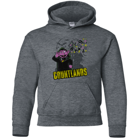 Sweatshirts Dark Heather / YS COUNTLANDS Youth Hoodie