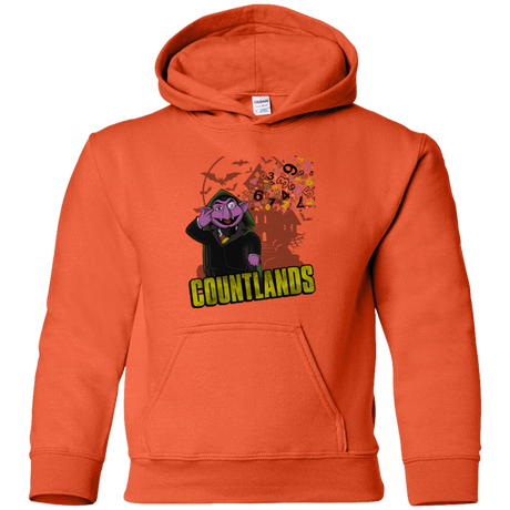 Sweatshirts Orange / YS COUNTLANDS Youth Hoodie