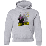 Sweatshirts Sport Grey / YS COUNTLANDS Youth Hoodie