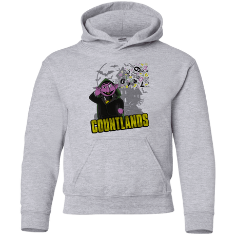 Sweatshirts Sport Grey / YS COUNTLANDS Youth Hoodie