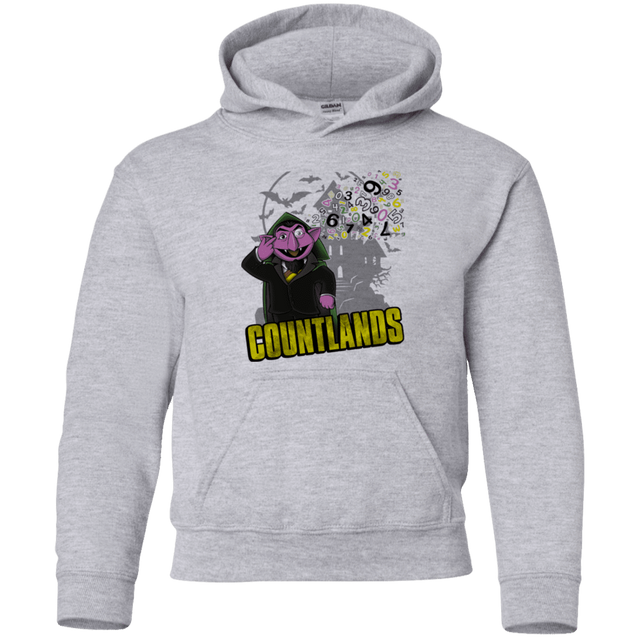 Sweatshirts Sport Grey / YS COUNTLANDS Youth Hoodie