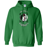 Sweatshirts Irish Green / S Dae Hans Martial Arts Pullover Hoodie