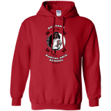 Sweatshirts Red / S Dae Hans Martial Arts Pullover Hoodie