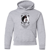 Sweatshirts Sport Grey / YS Dae Hans Martial Arts Youth Hoodie