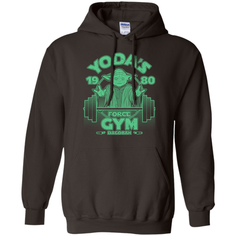 Sweatshirts Dark Chocolate / Small Dagobah Gym Pullover Hoodie