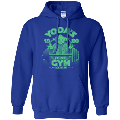 Sweatshirts Royal / Small Dagobah Gym Pullover Hoodie