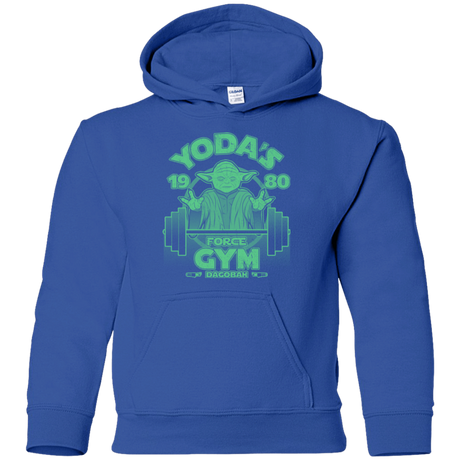 Sweatshirts Royal / YS Dagobah Gym Youth Hoodie