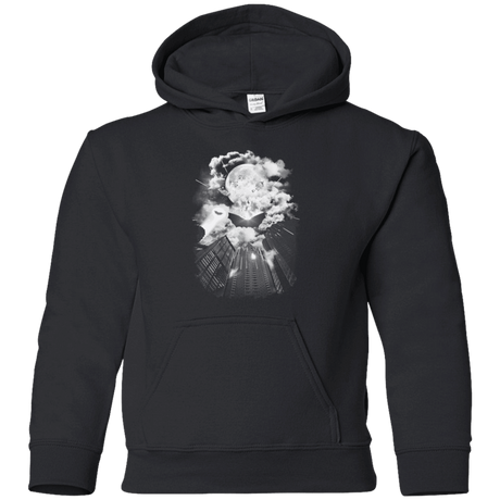 Sweatshirts Black / YS Dark Guardian Youth Hoodie