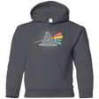 Sweatshirts Charcoal / YS Dark Side of the Hat Youth Hoodie