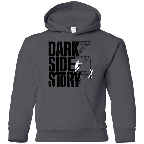 Sweatshirts Charcoal / YS DARKSIDE STORY Youth Hoodie