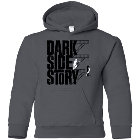 Sweatshirts Charcoal / YS DARKSIDE STORY Youth Hoodie