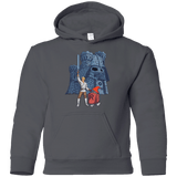 Sweatshirts Charcoal / YS Darthskull Castle Youth Hoodie