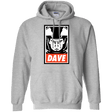 Sweatshirts Sport Grey / Small Dave Pullover Hoodie