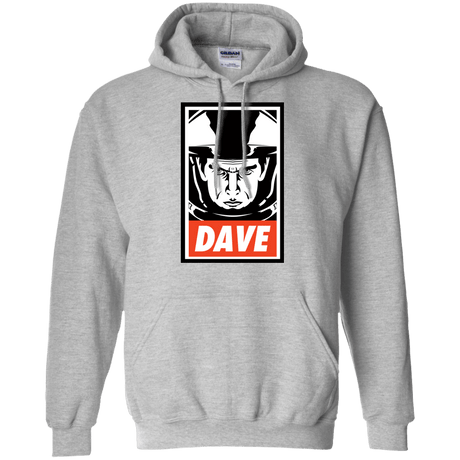 Sweatshirts Sport Grey / Small Dave Pullover Hoodie