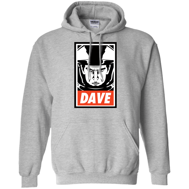Sweatshirts Sport Grey / Small Dave Pullover Hoodie