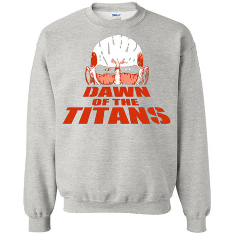 Sweatshirts Ash / Small Dawn of the Titans Crewneck Sweatshirt