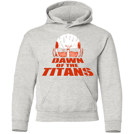 Sweatshirts Ash / YS Dawn of the Titans Youth Hoodie