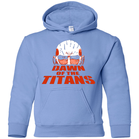 Sweatshirts Carolina Blue / YS Dawn of the Titans Youth Hoodie