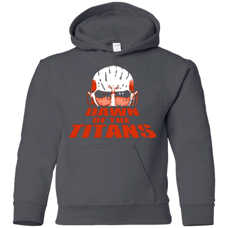 Sweatshirts Charcoal / YS Dawn of the Titans Youth Hoodie