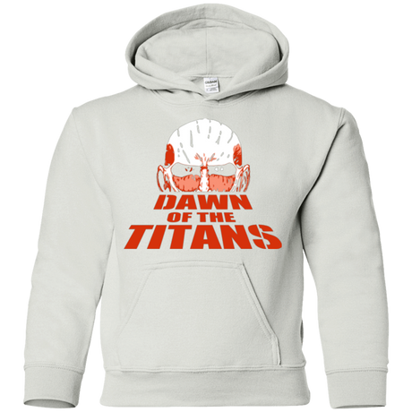 Sweatshirts White / YS Dawn of the Titans Youth Hoodie