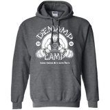 Sweatshirts Dark Heather / Small Demamp Camp Pullover Hoodie