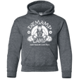 Sweatshirts Dark Heather / YS Demamp Camp Youth Hoodie