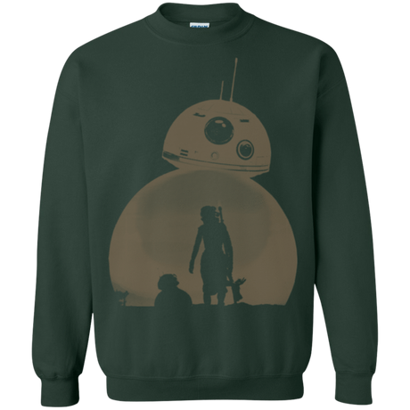 Sweatshirts Forest Green / Small Desert Crewneck Sweatshirt
