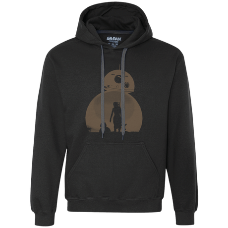 Sweatshirts Black / Small Desert Premium Fleece Hoodie