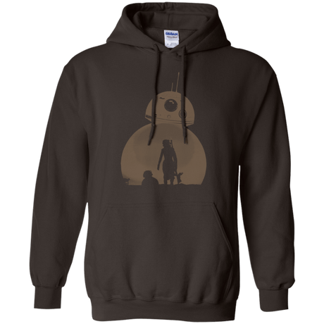 Sweatshirts Dark Chocolate / Small Desert Pullover Hoodie