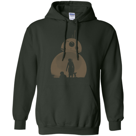 Sweatshirts Forest Green / Small Desert Pullover Hoodie