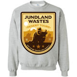 Sweatshirts Sport Grey / Small Desert Tours Crewneck Sweatshirt