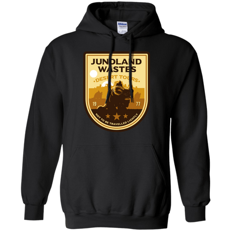 Sweatshirts Black / Small Desert Tours Pullover Hoodie