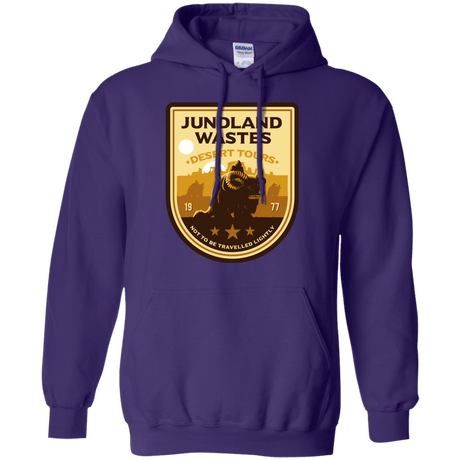 Sweatshirts Purple / Small Desert Tours Pullover Hoodie