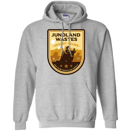 Sweatshirts Sport Grey / Small Desert Tours Pullover Hoodie