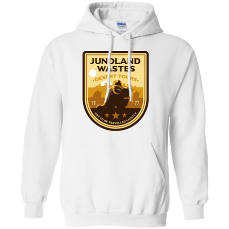 Sweatshirts White / Small Desert Tours Pullover Hoodie