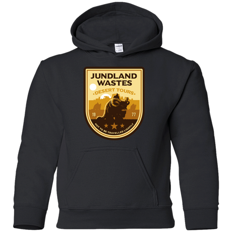 Sweatshirts Black / YS Desert Tours Youth Hoodie