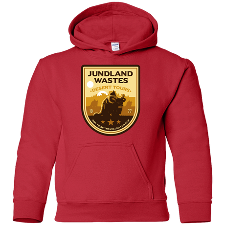 Sweatshirts Red / YS Desert Tours Youth Hoodie