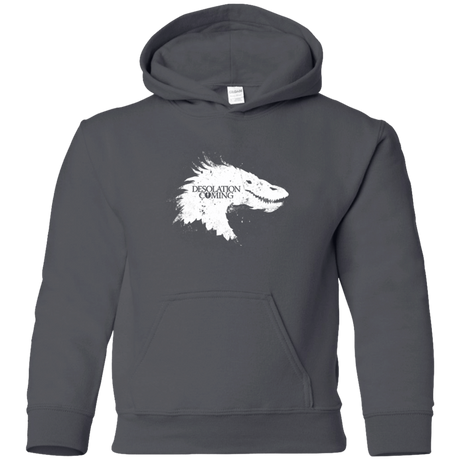 Sweatshirts Charcoal / YS Desolation is Coming white Youth Hoodie