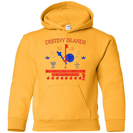 Sweatshirts Gold / YS Destiny Island Youth Hoodie