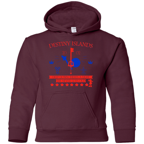 Sweatshirts Maroon / YS Destiny Island Youth Hoodie