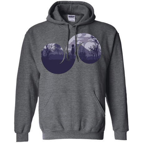 Sweatshirts Dark Heather / S Destiny Pullover Hoodie
