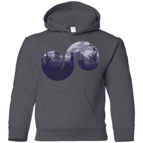 Sweatshirts Charcoal / YS Destiny Youth Hoodie