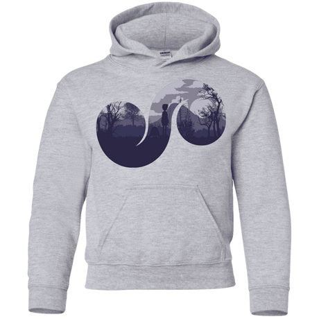 Sweatshirts Sport Grey / YS Destiny Youth Hoodie