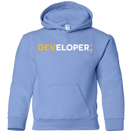 Sweatshirts Carolina Blue / YS Developer Youth Hoodie