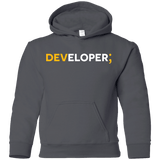 Sweatshirts Charcoal / YS Developer Youth Hoodie