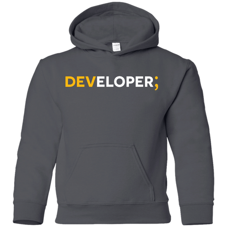Sweatshirts Charcoal / YS Developer Youth Hoodie