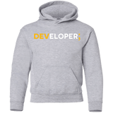 Sweatshirts Sport Grey / YS Developer Youth Hoodie