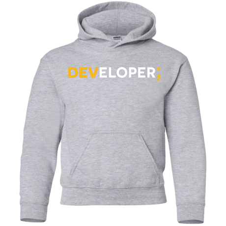 Sweatshirts Sport Grey / YS Developer Youth Hoodie