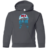 Sweatshirts Charcoal / YS Dex Youth Hoodie
