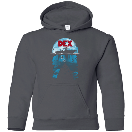 Sweatshirts Charcoal / YS Dex Youth Hoodie